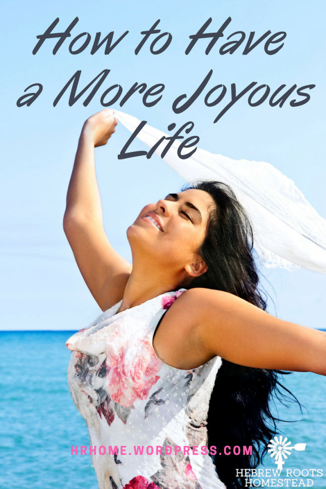 how-to-have-a-more-joyous-life_1